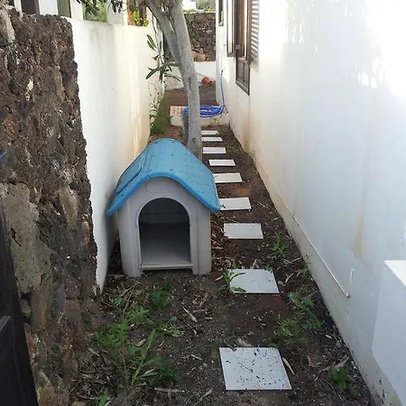 Dom wakacyjny Bungalow